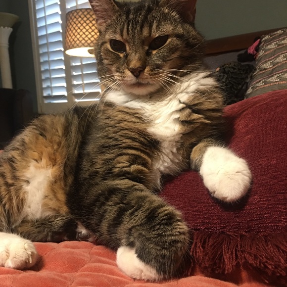 There is a better world ahead! - Picture 2 of 10